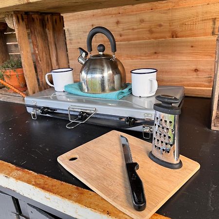 Geodesic Dome Glamping Ξενοδοχείο Llanidloes Εξωτερικό φωτογραφία