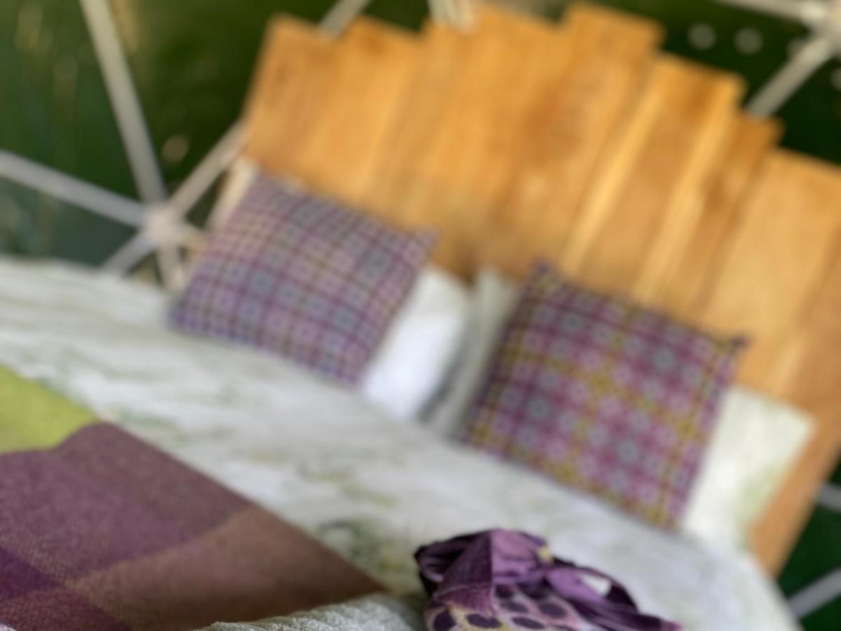 Geodesic Dome Glamping Ξενοδοχείο Llanidloes Εξωτερικό φωτογραφία