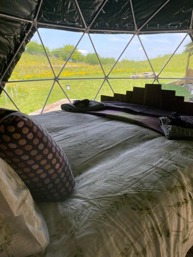 Geodesic Dome Glamping Ξενοδοχείο Llanidloes Εξωτερικό φωτογραφία