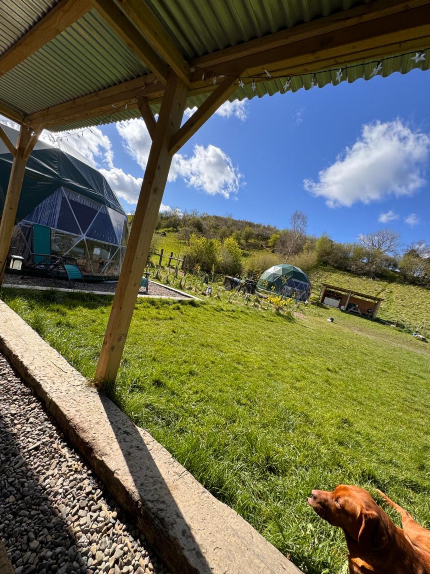 Geodesic Dome Glamping Ξενοδοχείο Llanidloes Εξωτερικό φωτογραφία